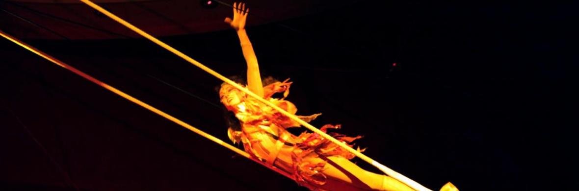 HannahTrapeze - Performing Arts Acts - StageLync